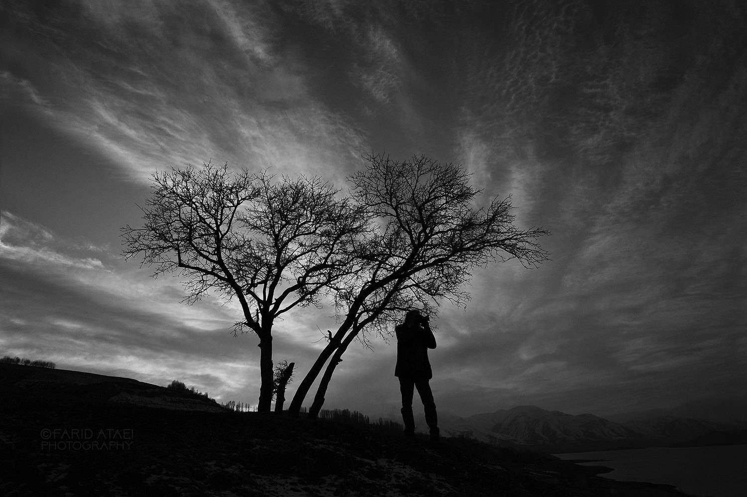 , Farid Ataei