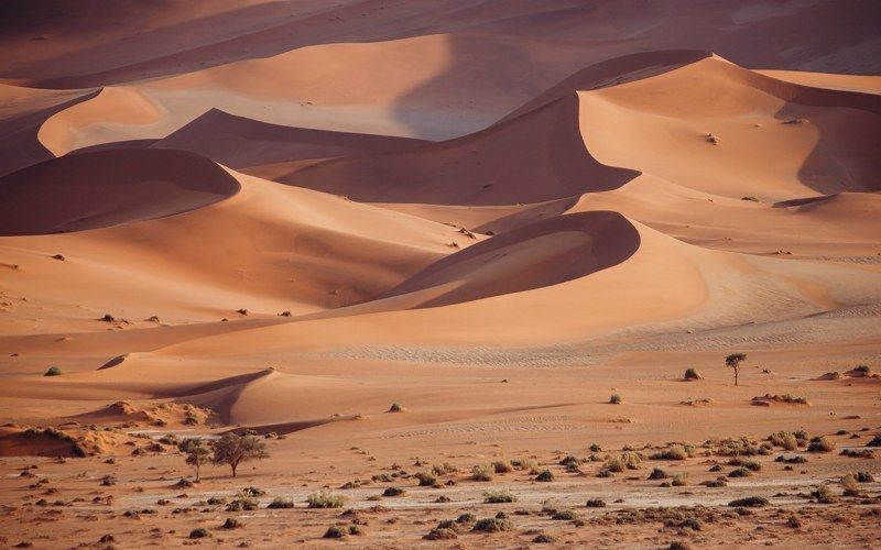 ДЮНЫ НАМИБА фото превью