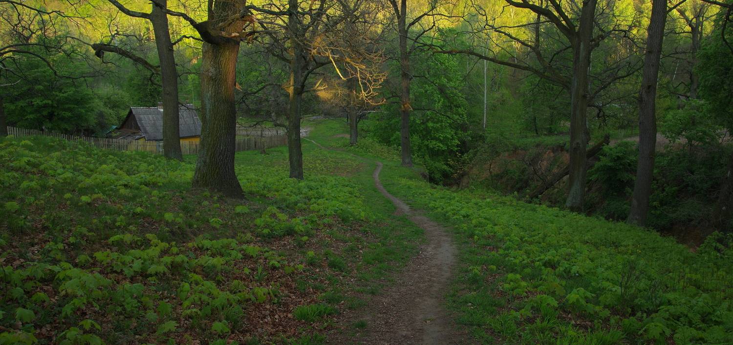 , Шляга Сергей