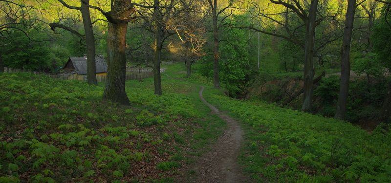 По тропинке фото превью