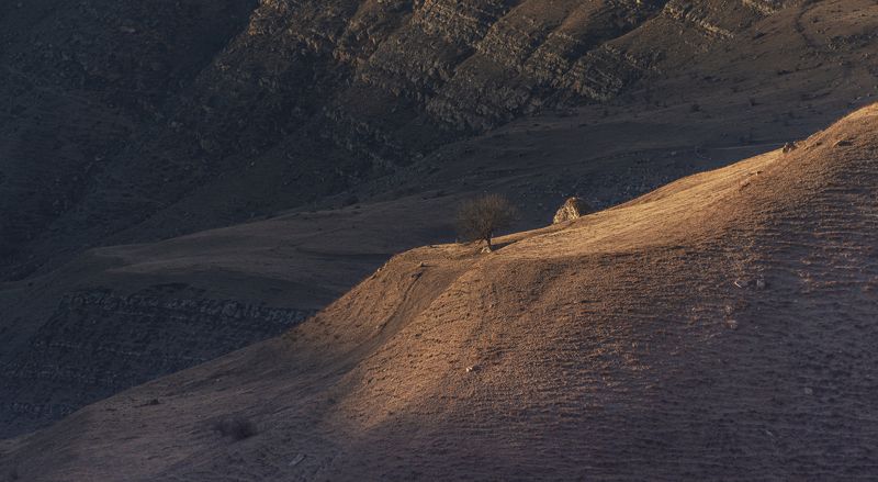 Портфолио фото превью