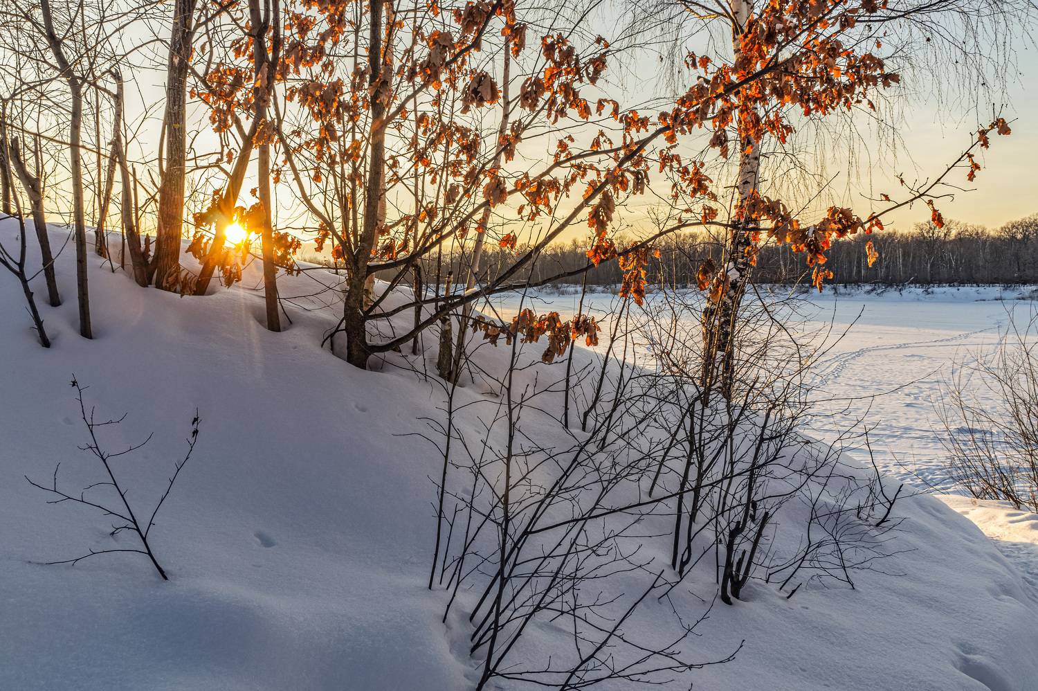 , Шитов Александр
