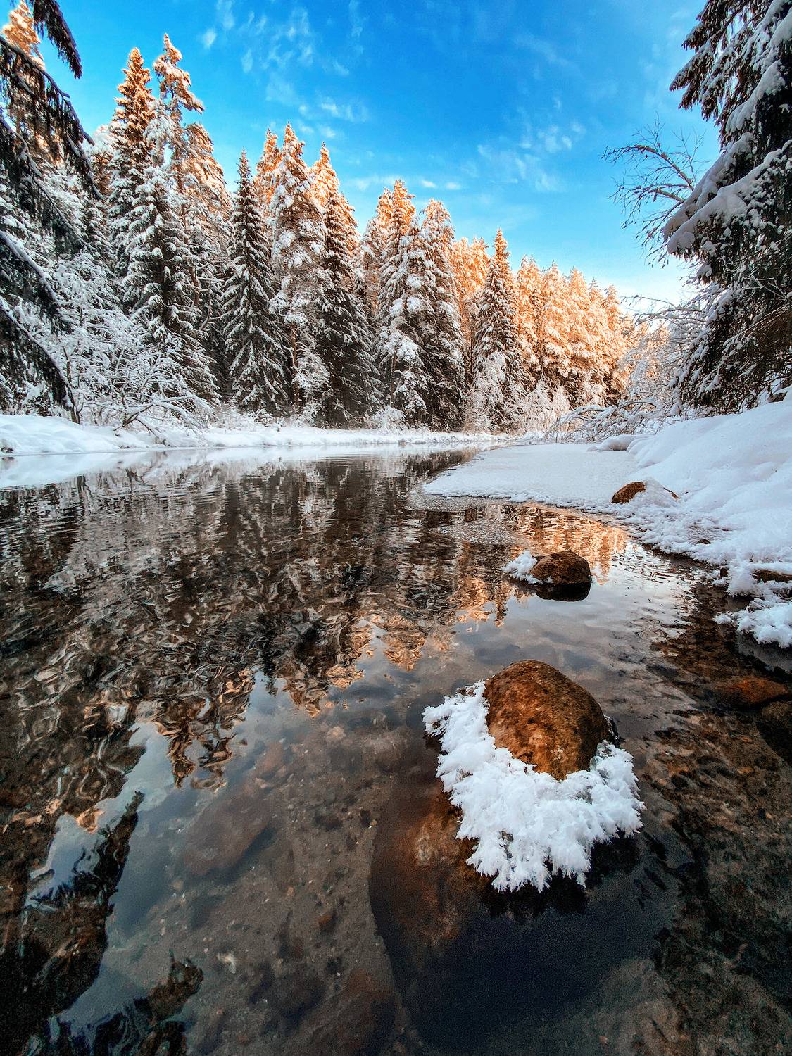валдай, Тимофей Шутов