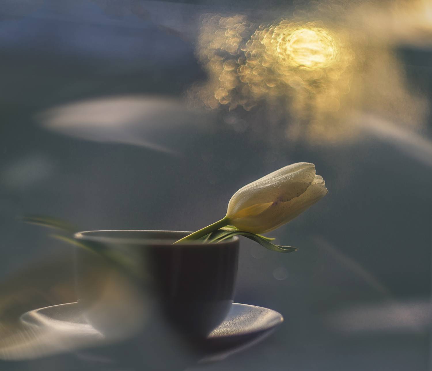 , Сигидова Ирина