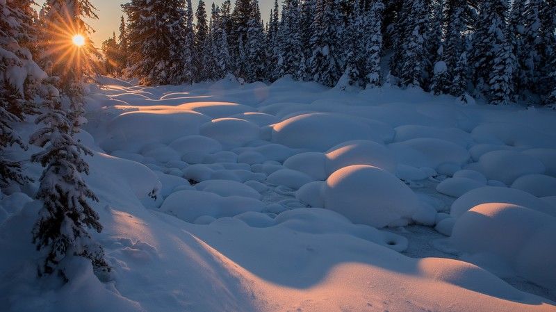 ергаки, озеро, ручей, светлое, светлый, птица, звездный, камни, шары, валуны, снег, скалы, зима, кедры Веченяя гостья фото превью
