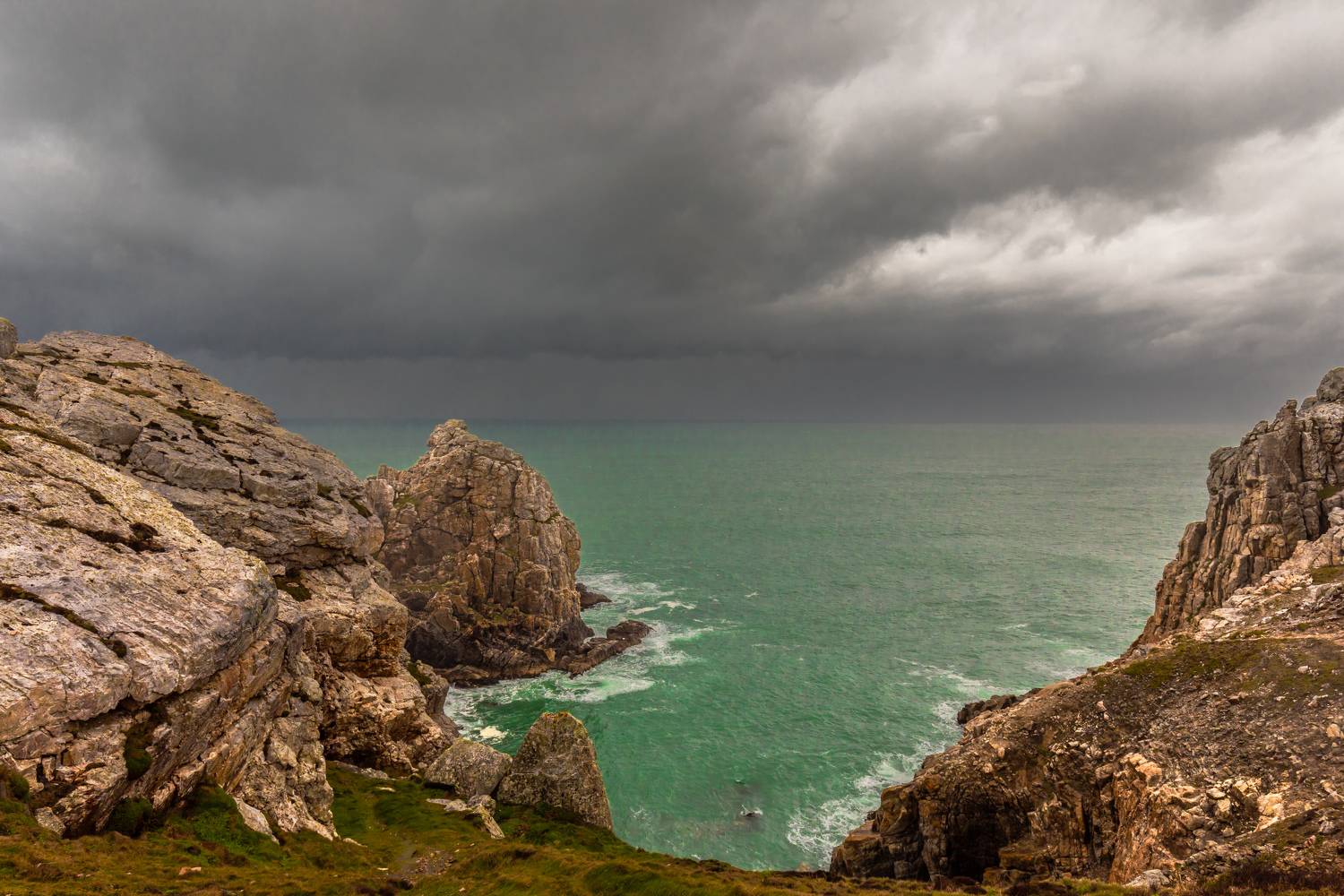 , Евгения Чех