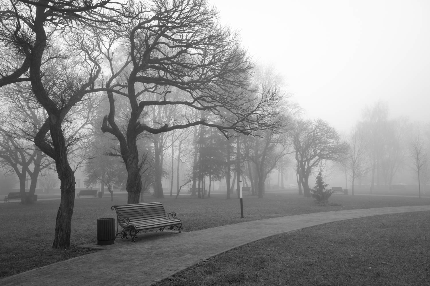 туман, лавочка, тишина, одиночество, спокойствие, Зорин Миша