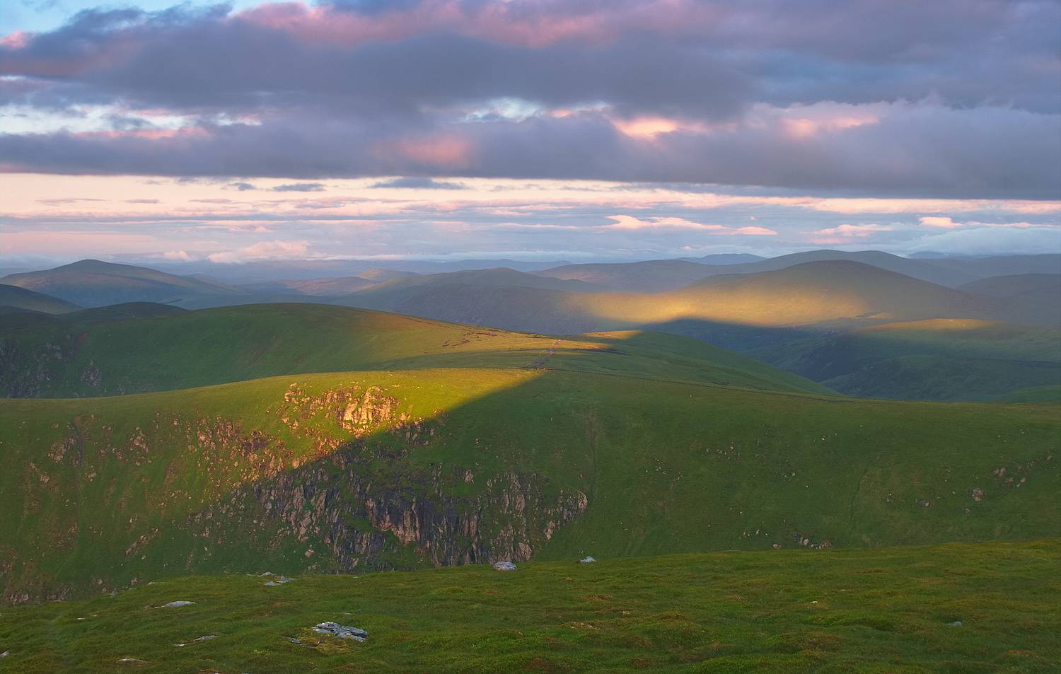 , Wojciech Tarnowski