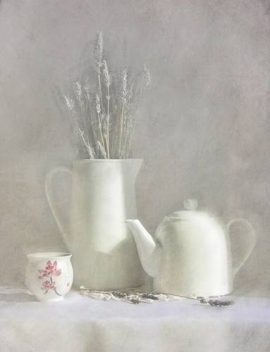 Белый натюрморт