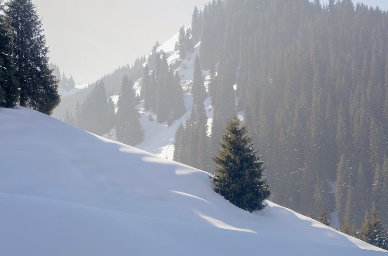 Зима в горах фото превью