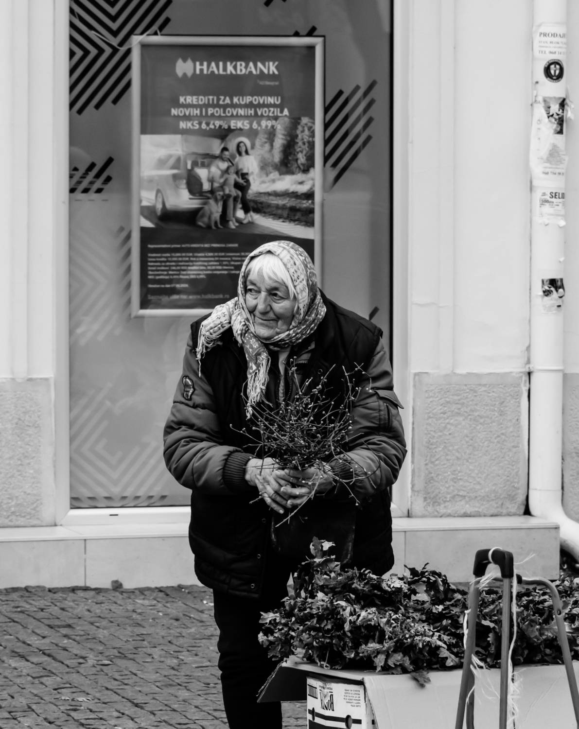 , Шилов Александр