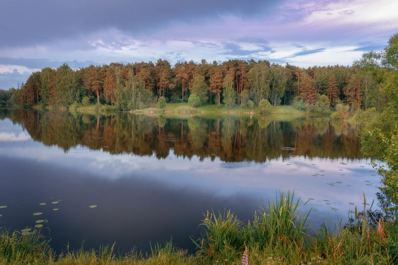 Утром на пруду... фото превью