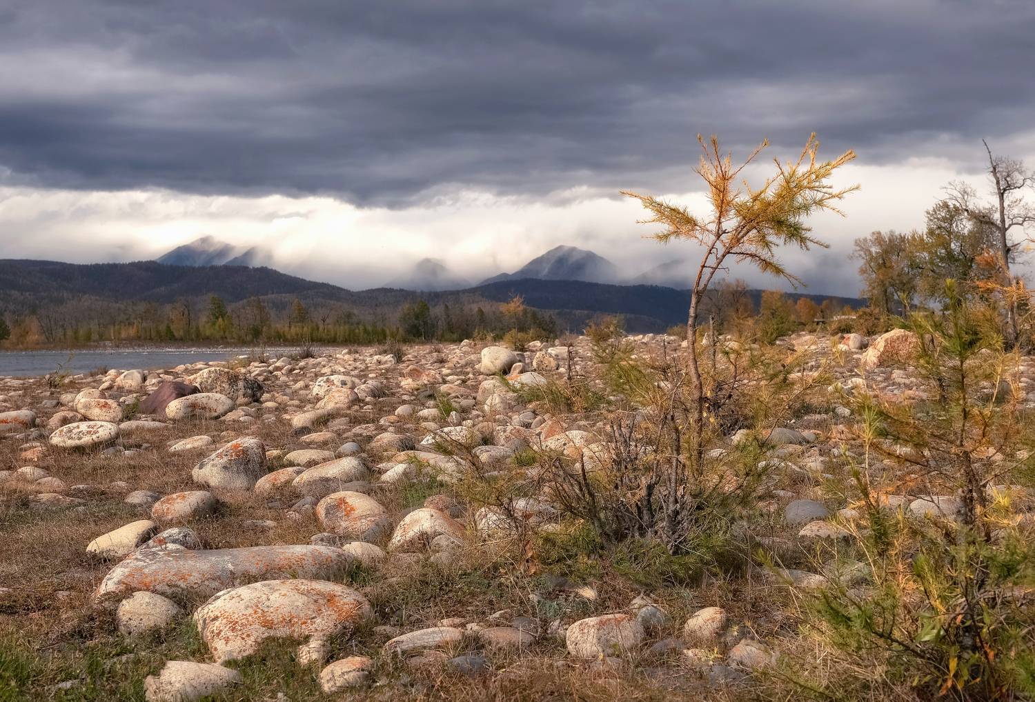 бурятия, сибирь, камни, осень, лиственницы, Фомина Марина
