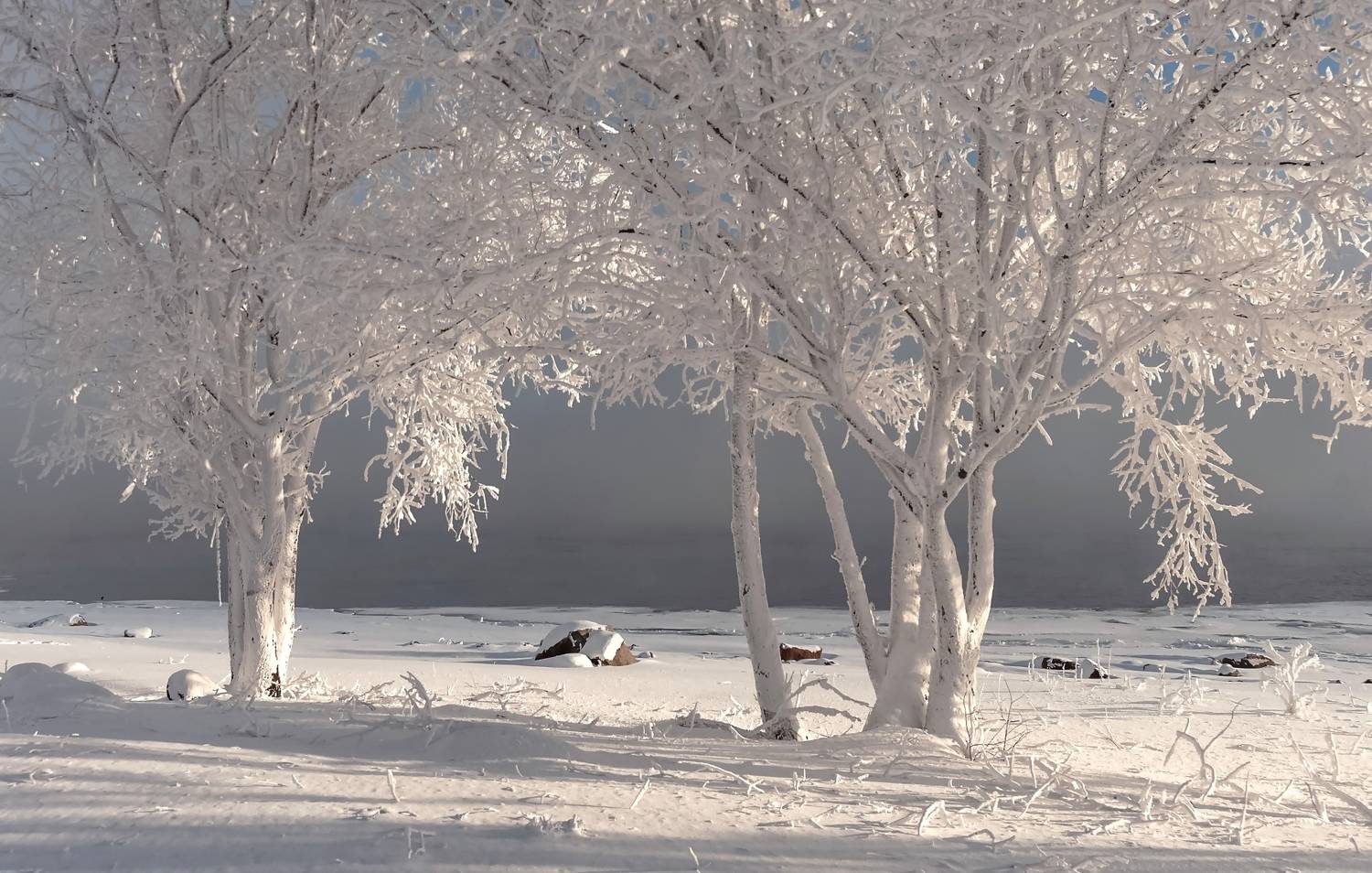 зима, сибирь, река, туман, изморозь, куржак, иней, енисейская сибирь, Фомина Марина