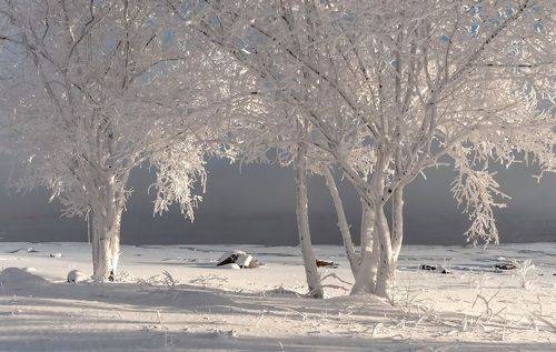 Зимнее солнце