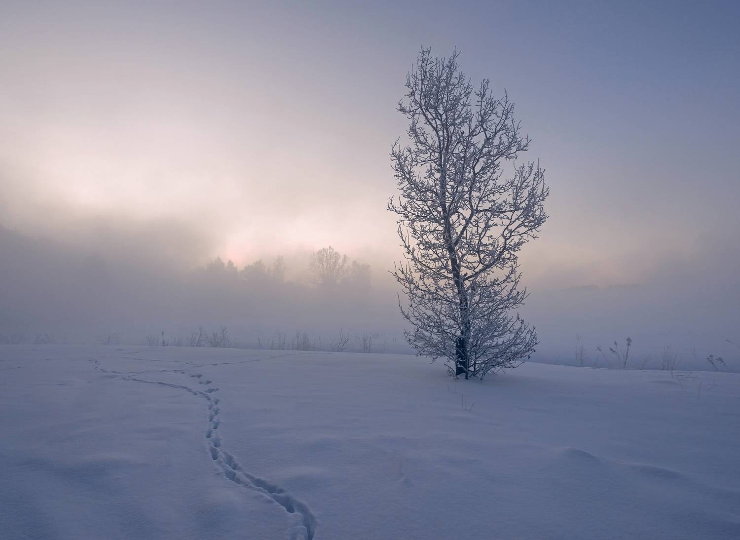 зима, рассвет, мороз, Александр Гвоздь