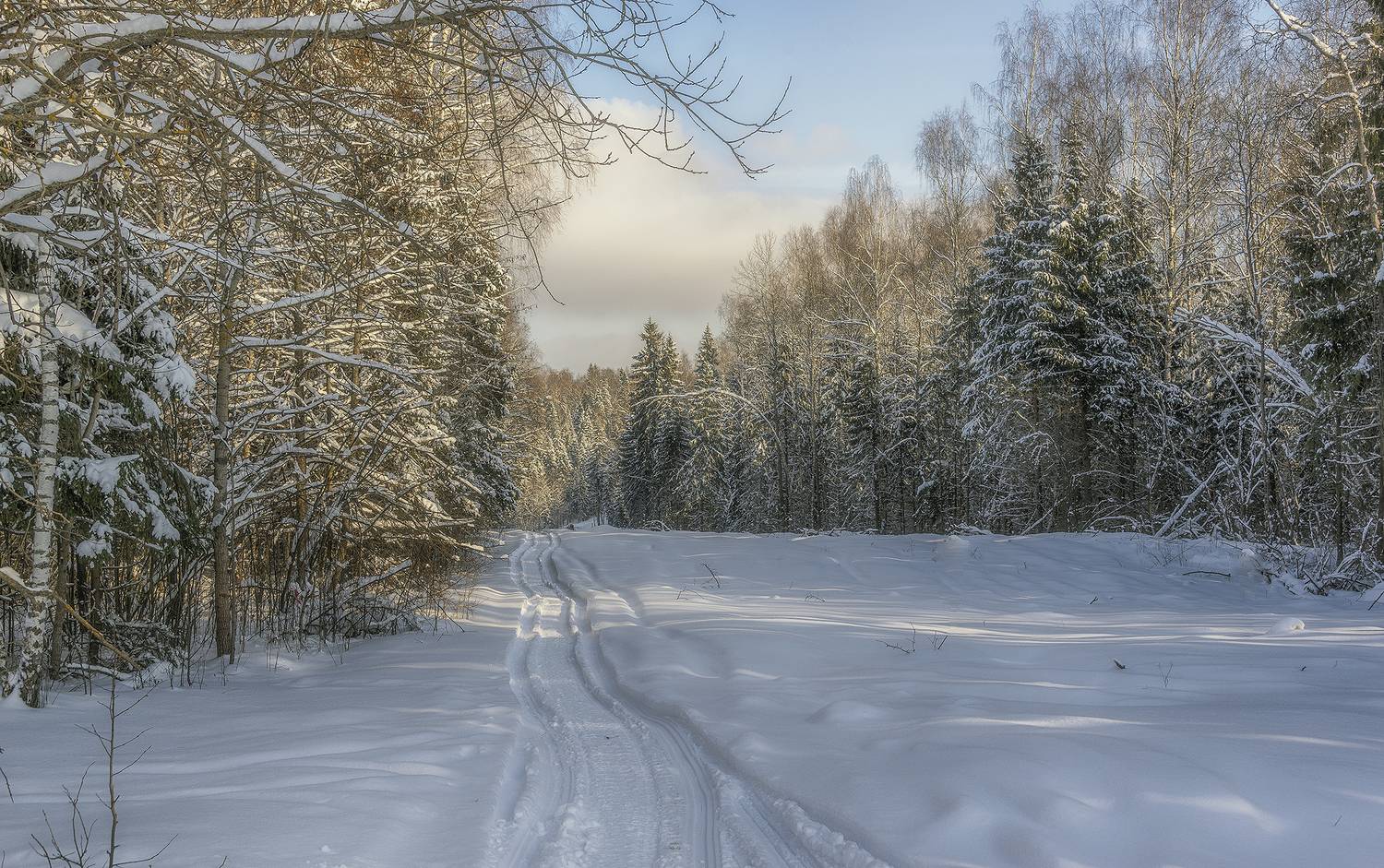 , Сергей Аникин