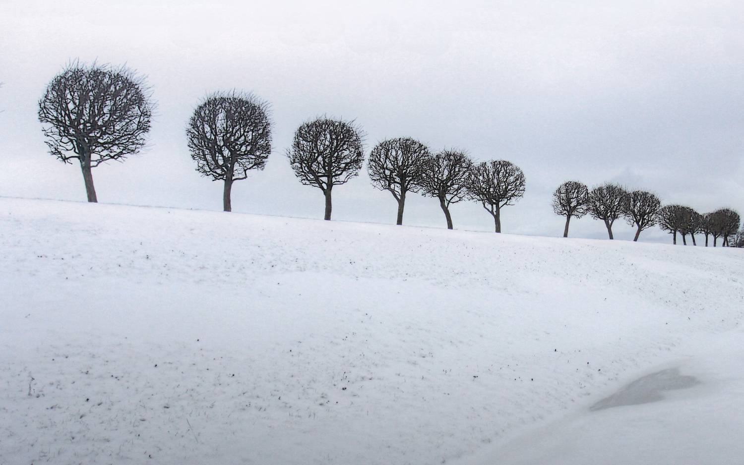 , Сергей Григорьев