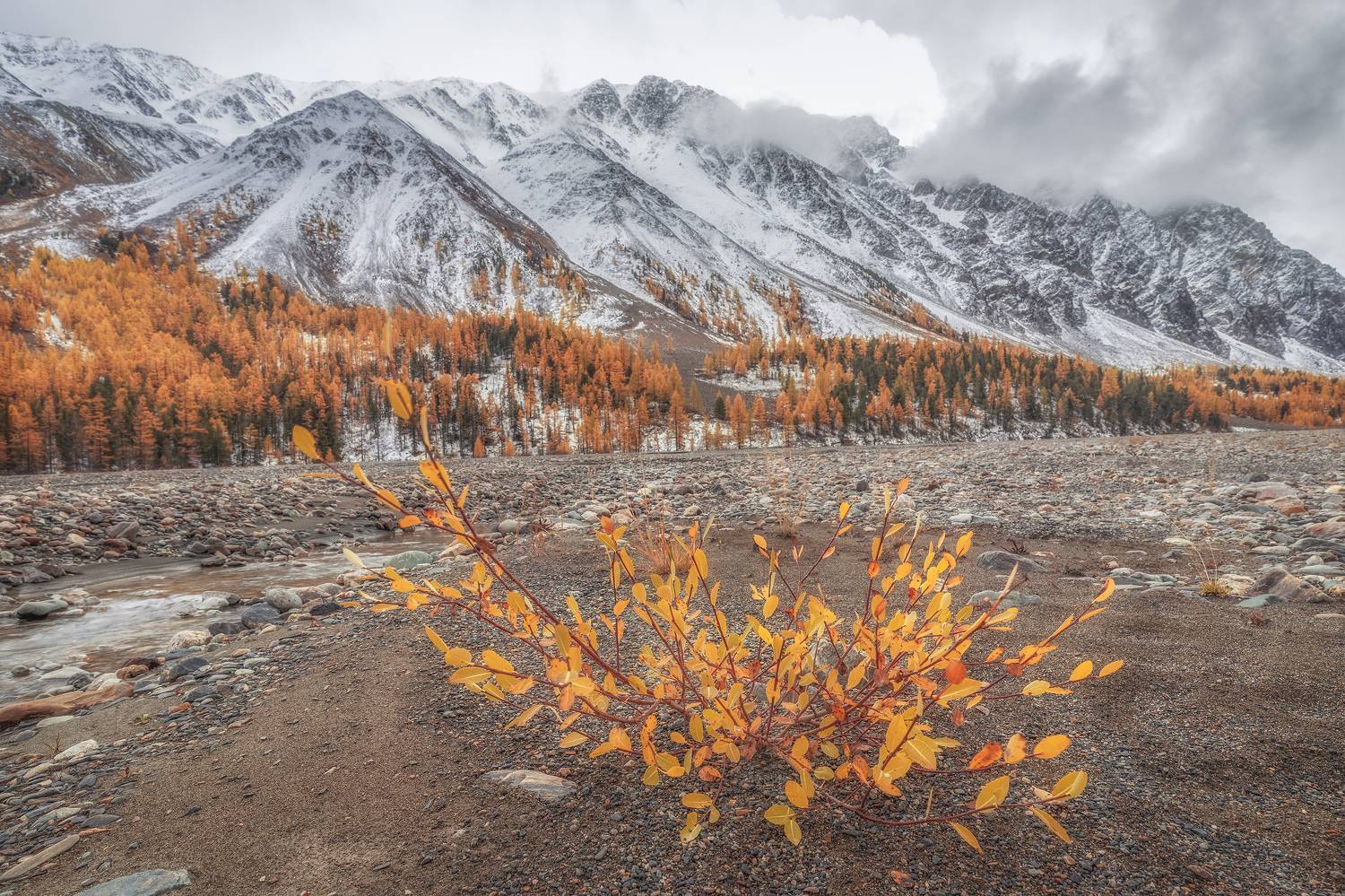 алтай, Гусева Елена