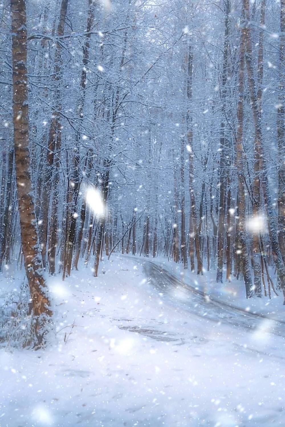 пейзаж, landscape, nature, природа, зима, winter, снег, snow, лес, forest, Julia Kaissa