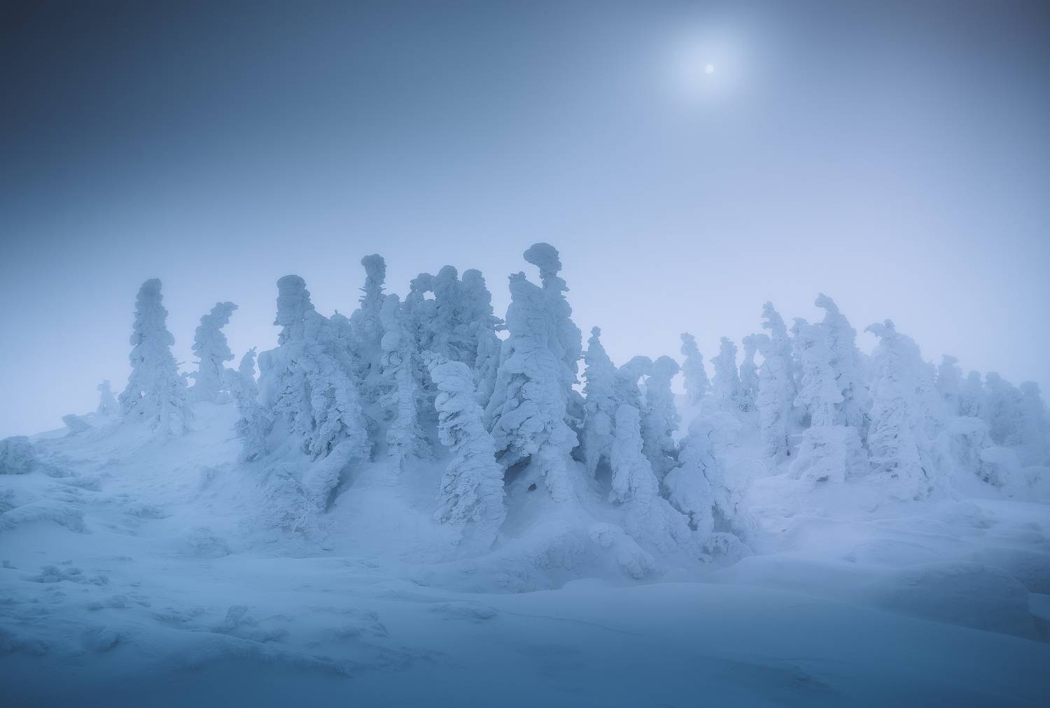 , Силантьев Даниил