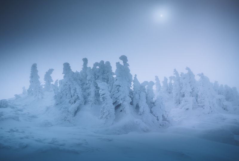 Январское утро в горах фото превью