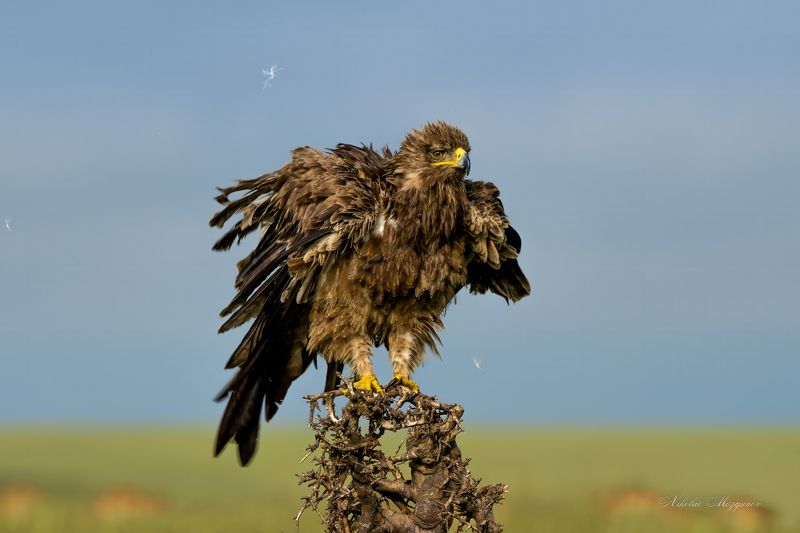 Тяжелый день фото превью
