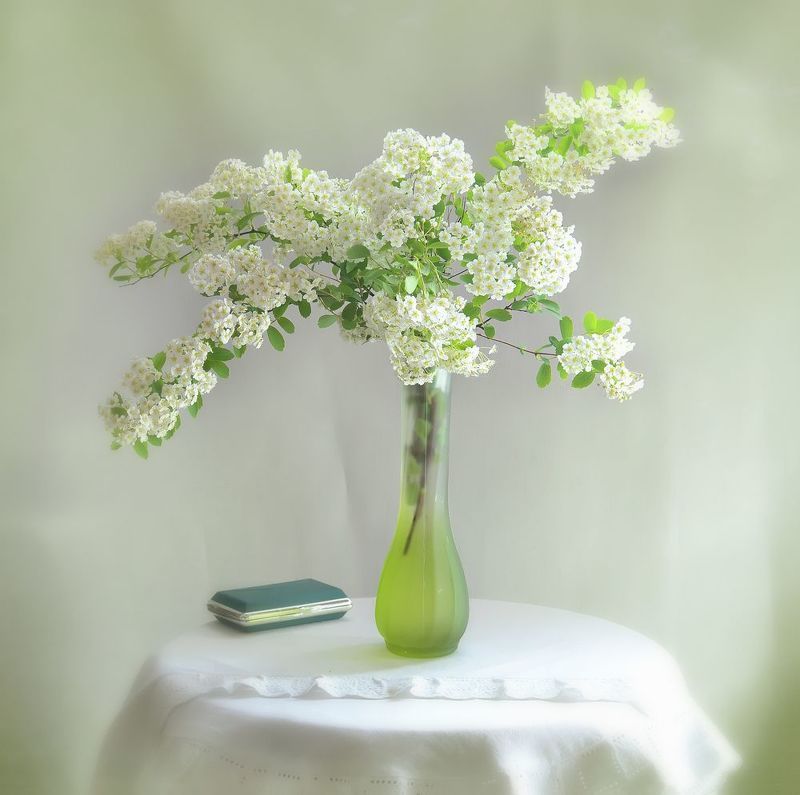 натюрморт,композиция,свет,лето,букет *** фото превью