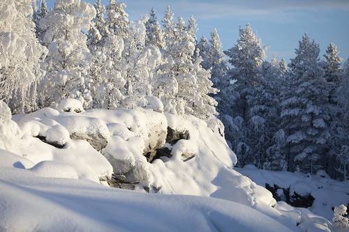 Зима в Заполярье