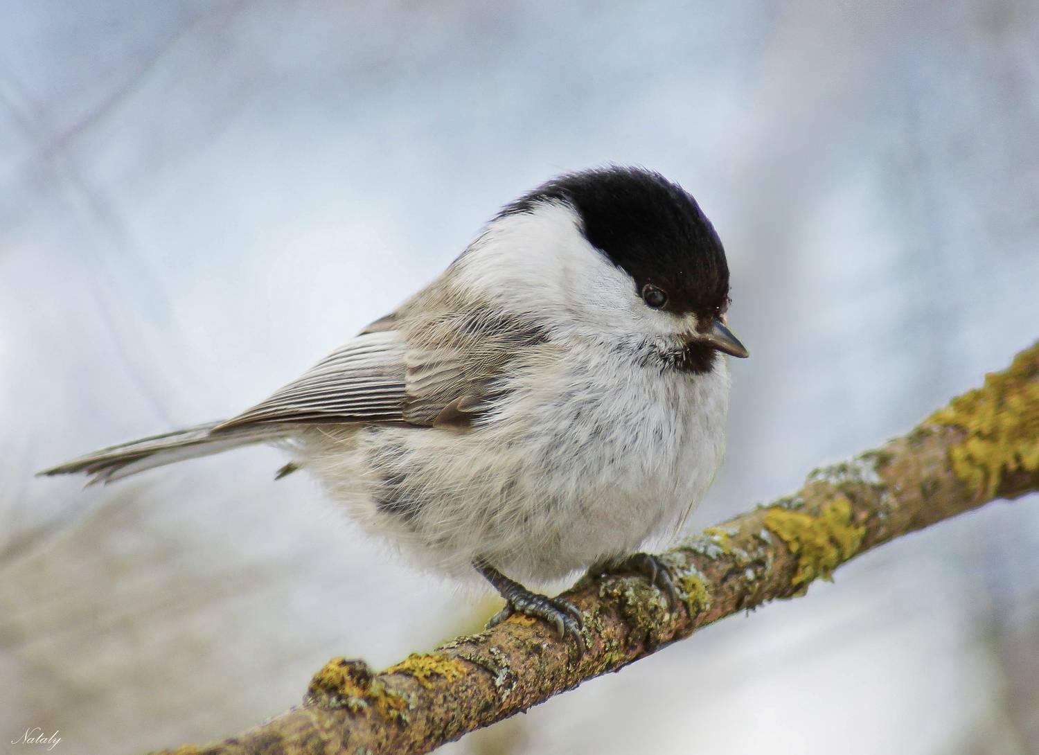 , Наталья Екимова