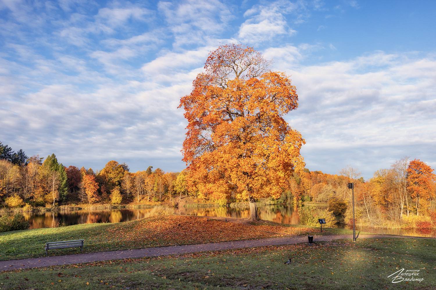 гатчина, Липецких Владимир