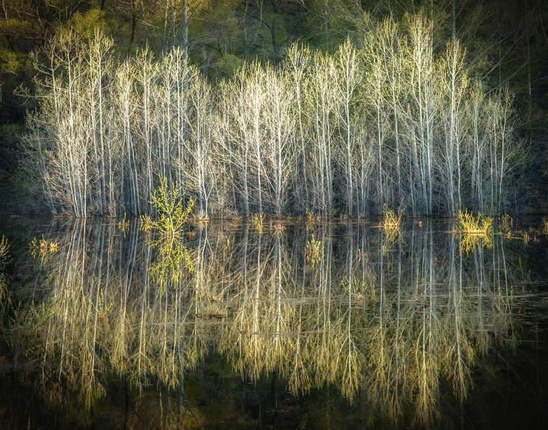 Паводок фото превью