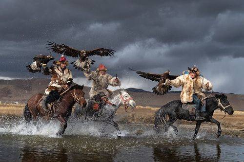 Рассекая водную гладь