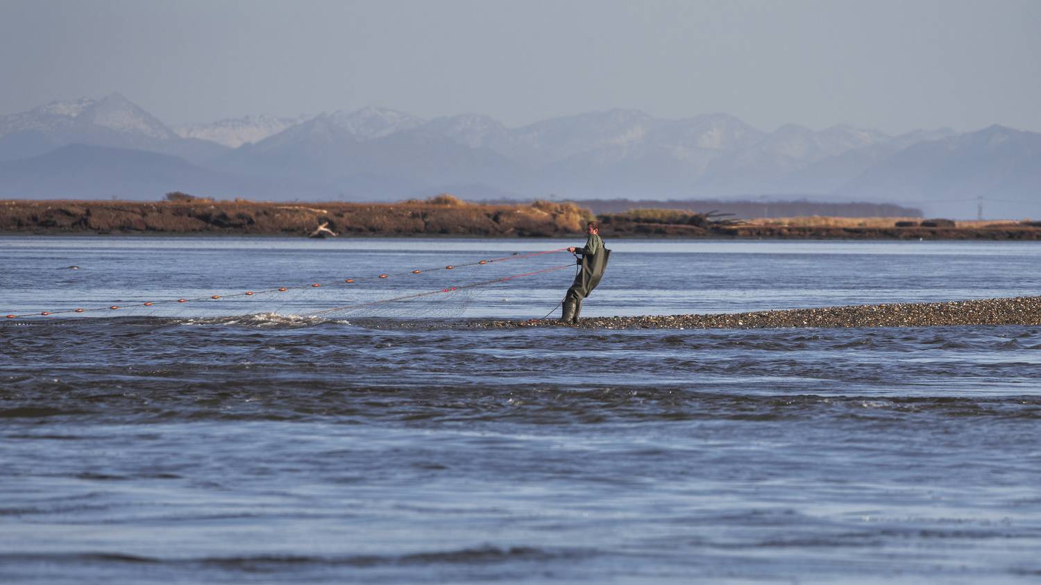 рыбалка, камчатка, невод, сеть, река, лосось, Goiiiguk Vladimir