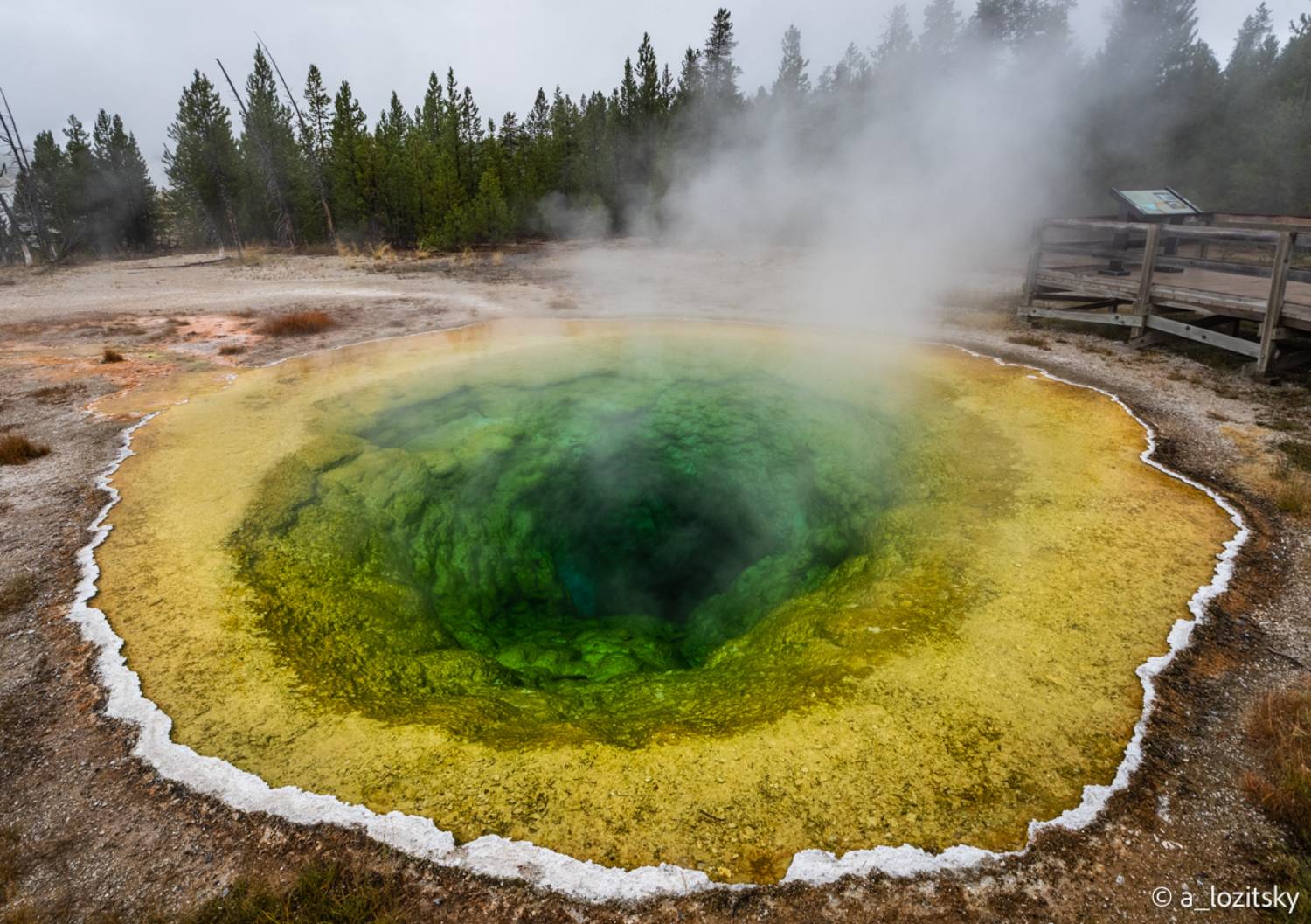 , Лозицкий Александр
