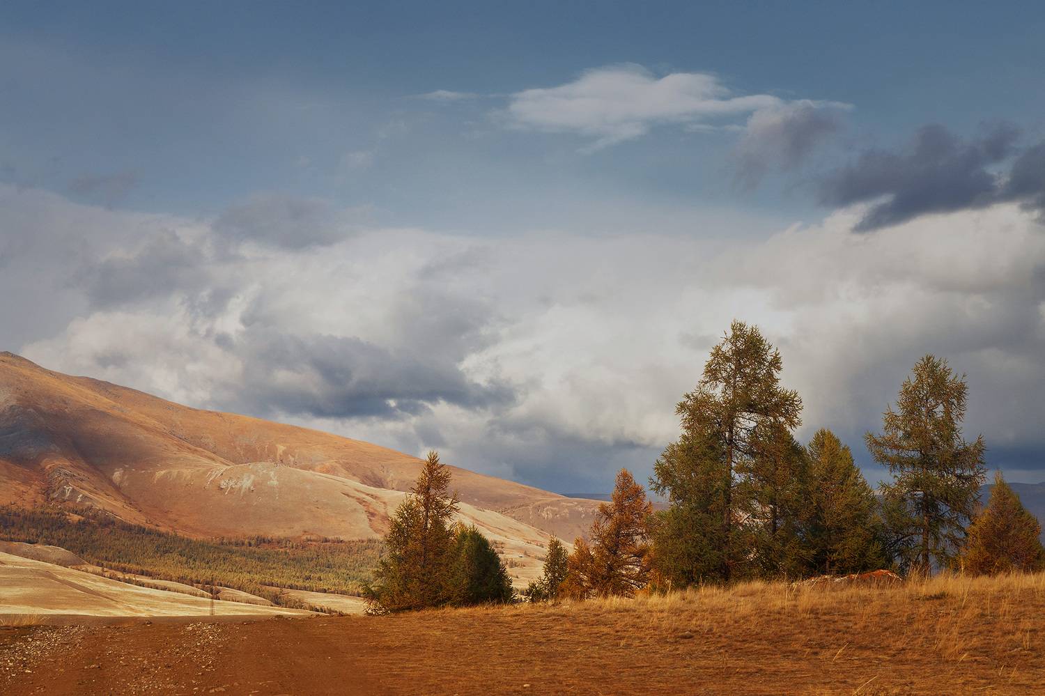 , Морозов Сергей