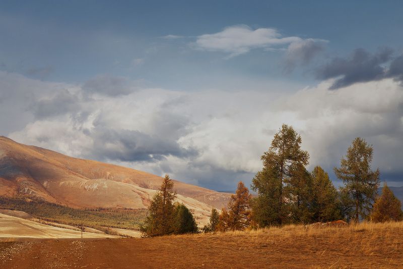 Горный Алтай фото превью