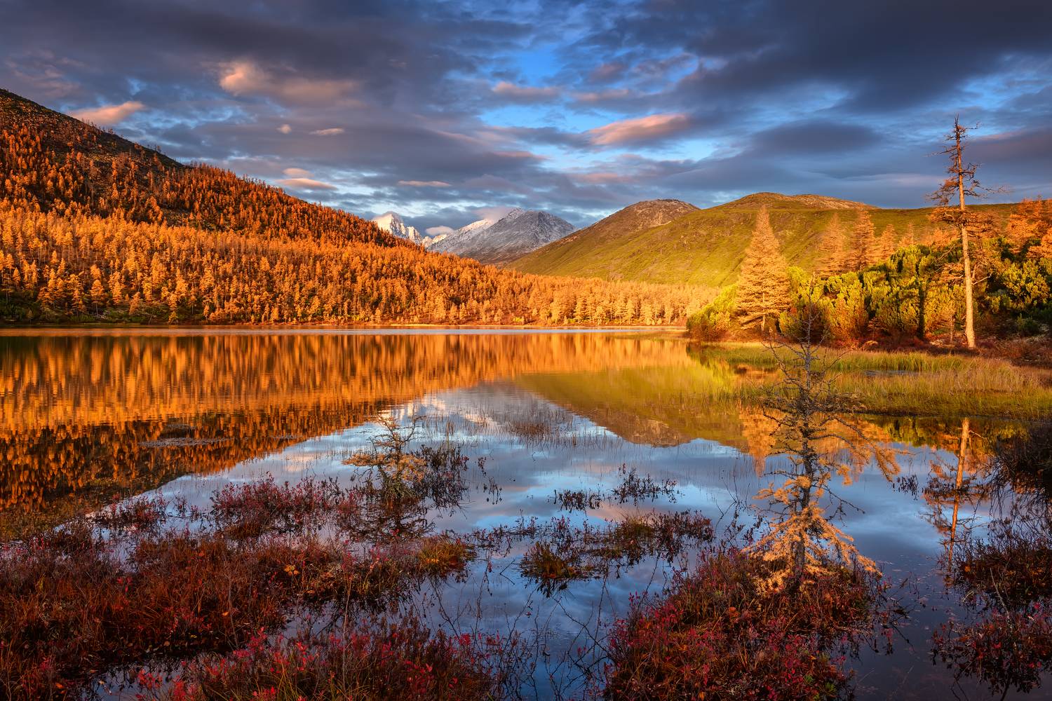 , Евдокимов Максим