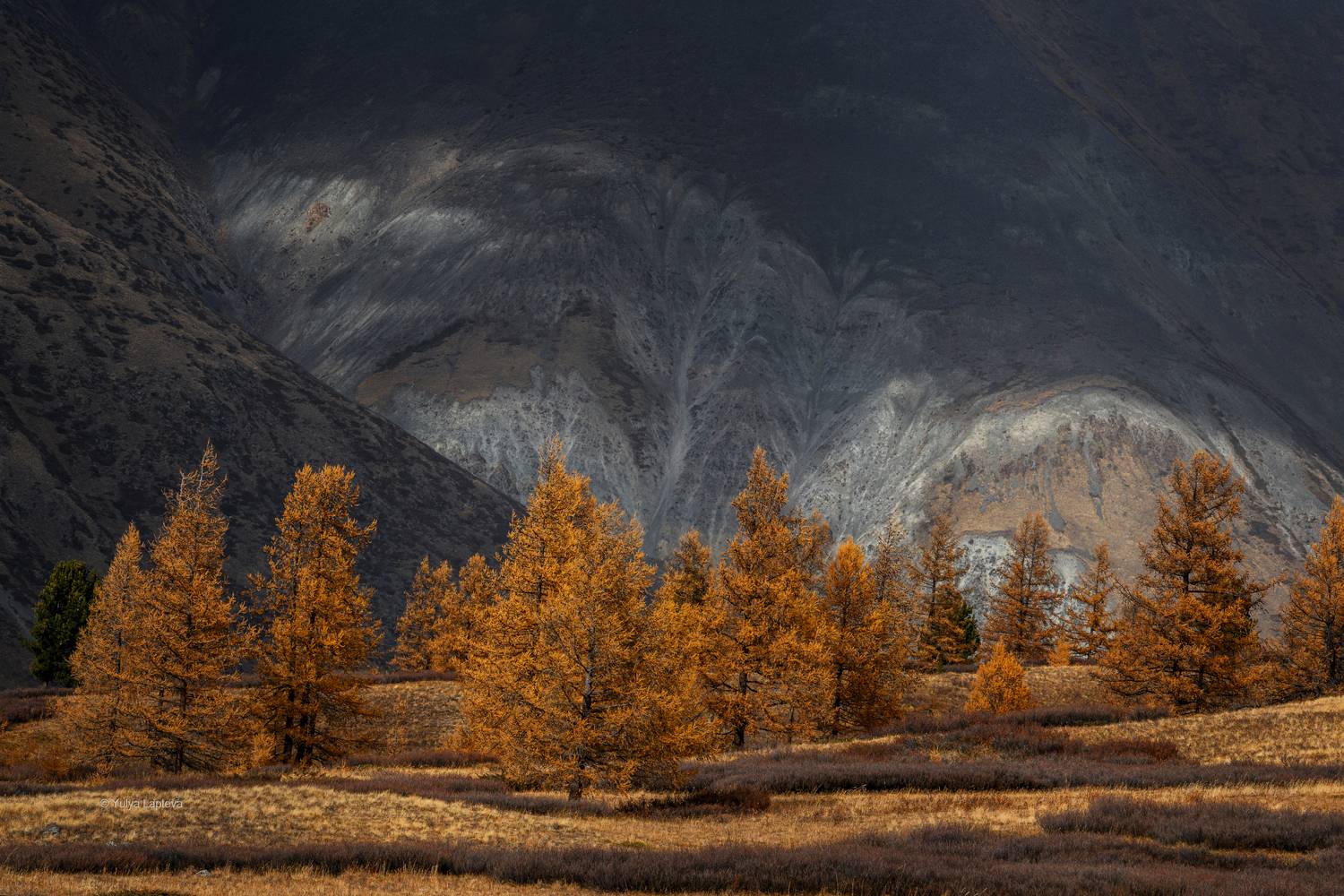 горный, алтай, Лаптева Юлия