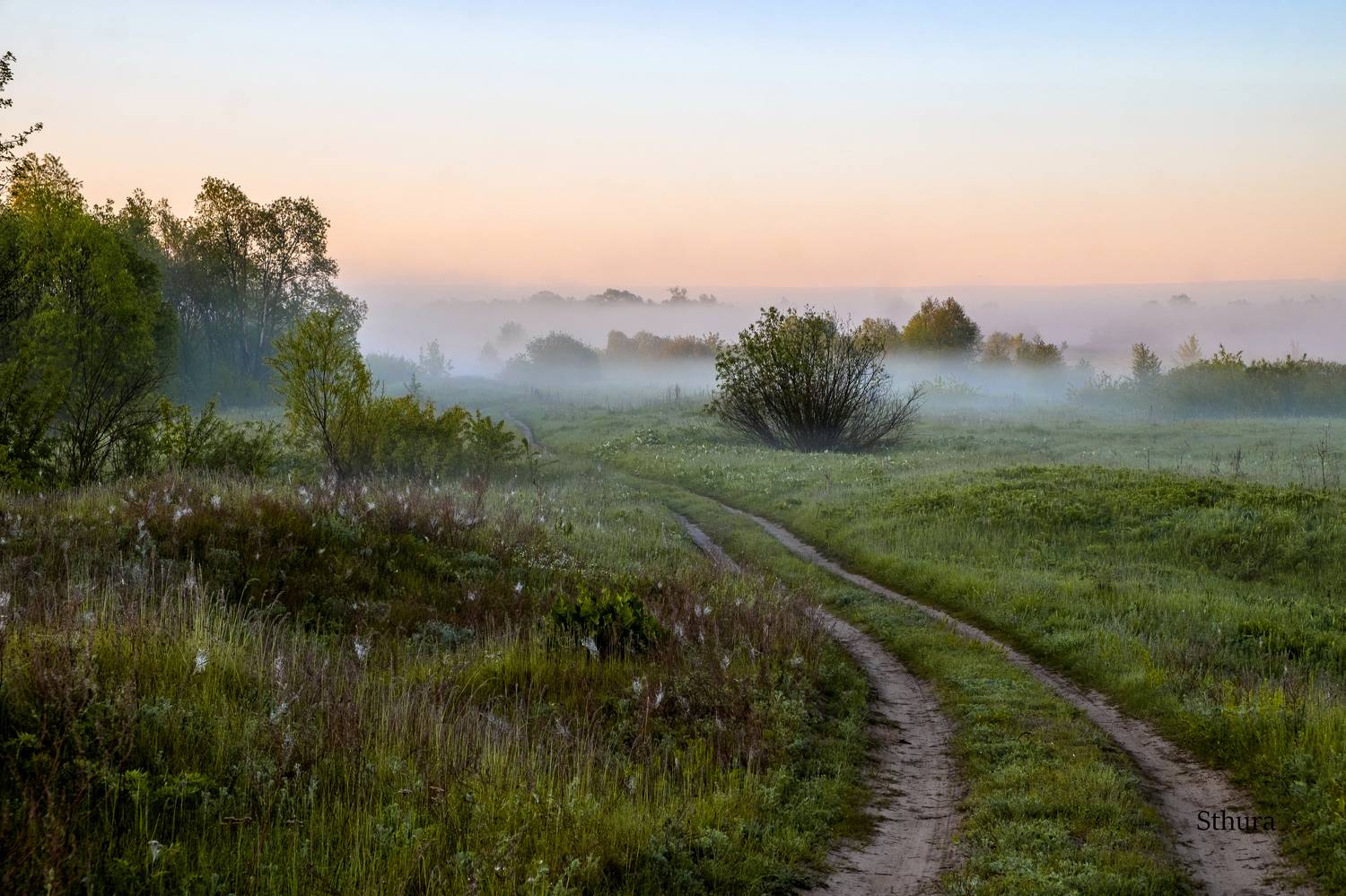 весна поле дорога туман природа пейзаж, Александр Строков