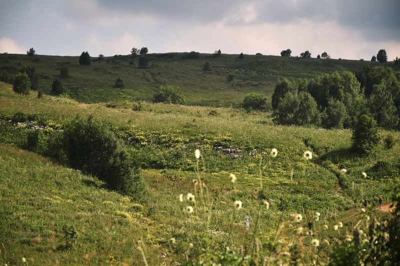 фото превью