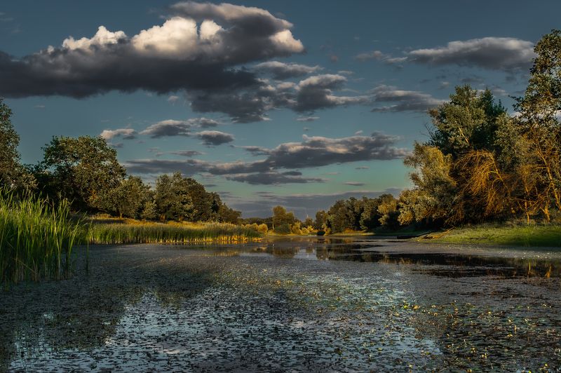 По озеру фото превью