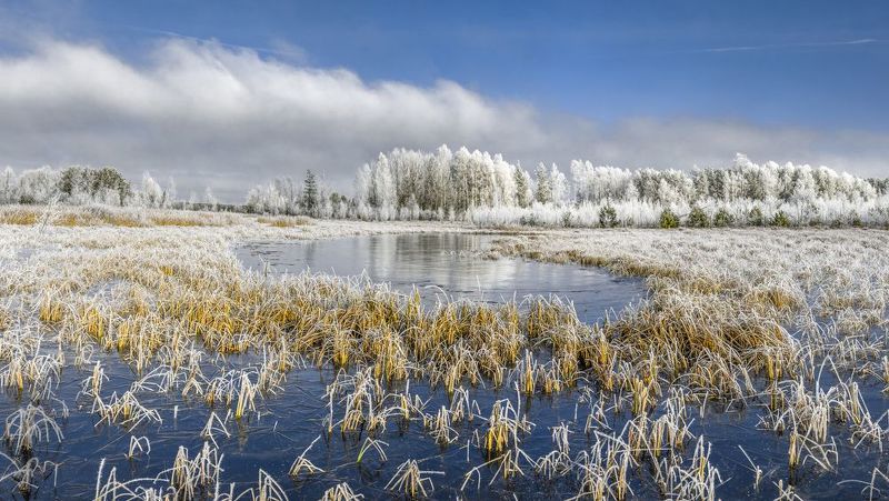 *** фото превью