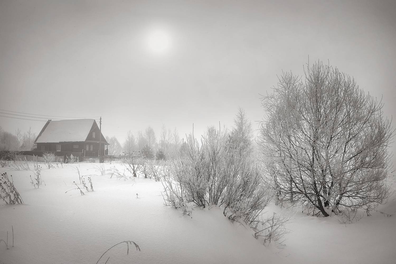 , Сергей Аникин