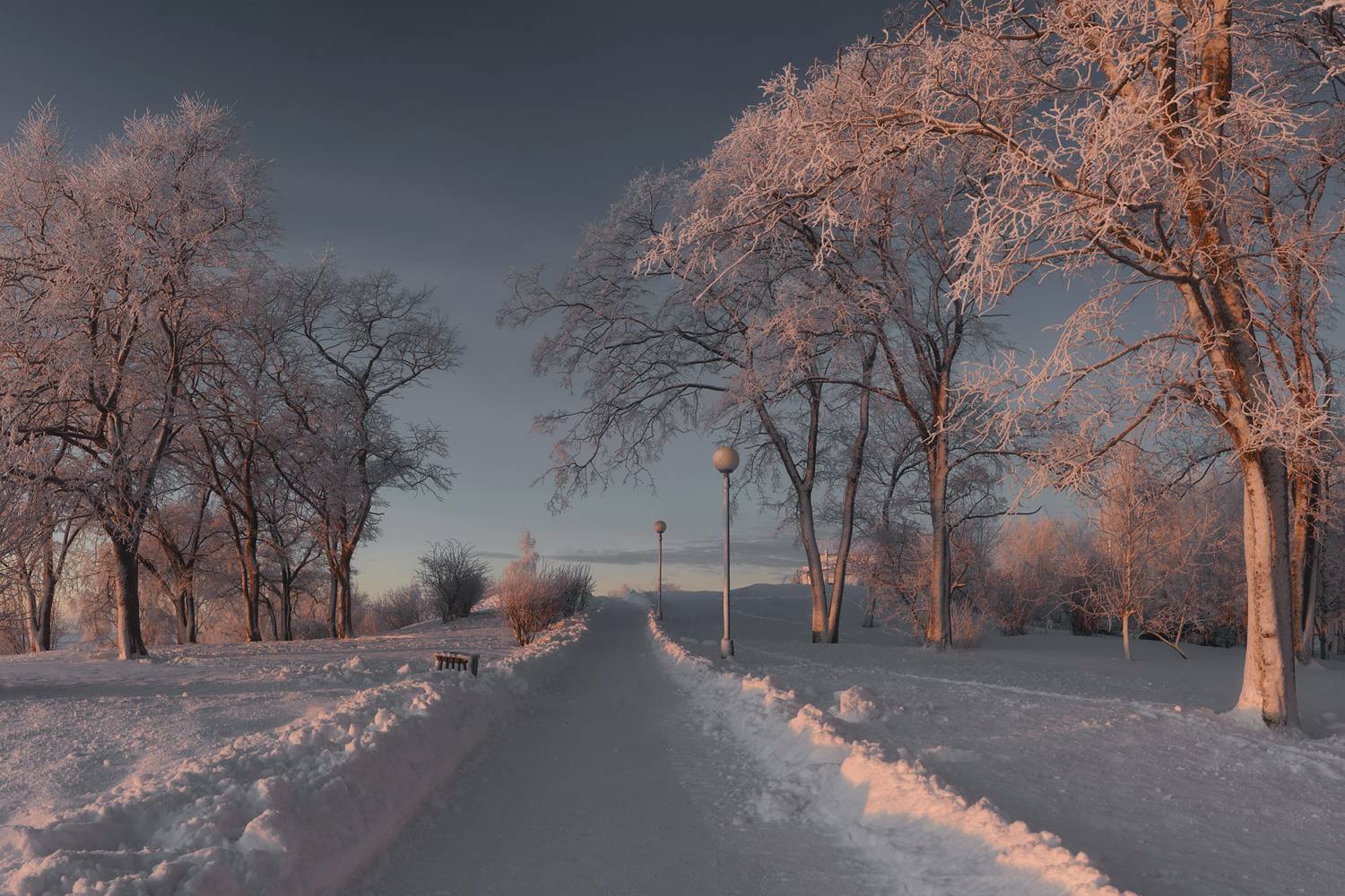 панорама, город, архангельск, зима, январь, снег, иней, мороз, деревья, кусты, дорога, вечер, Вера Ра