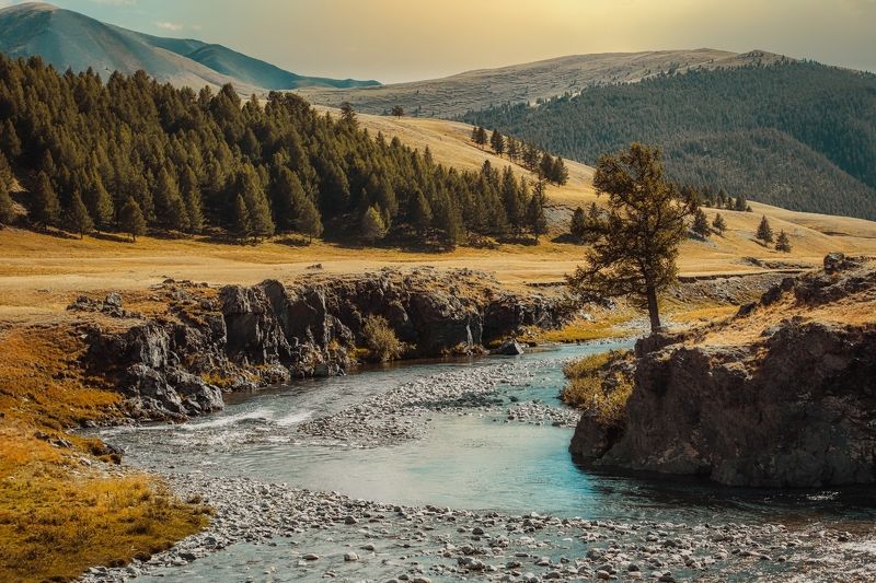 АЛТАЙ фото превью