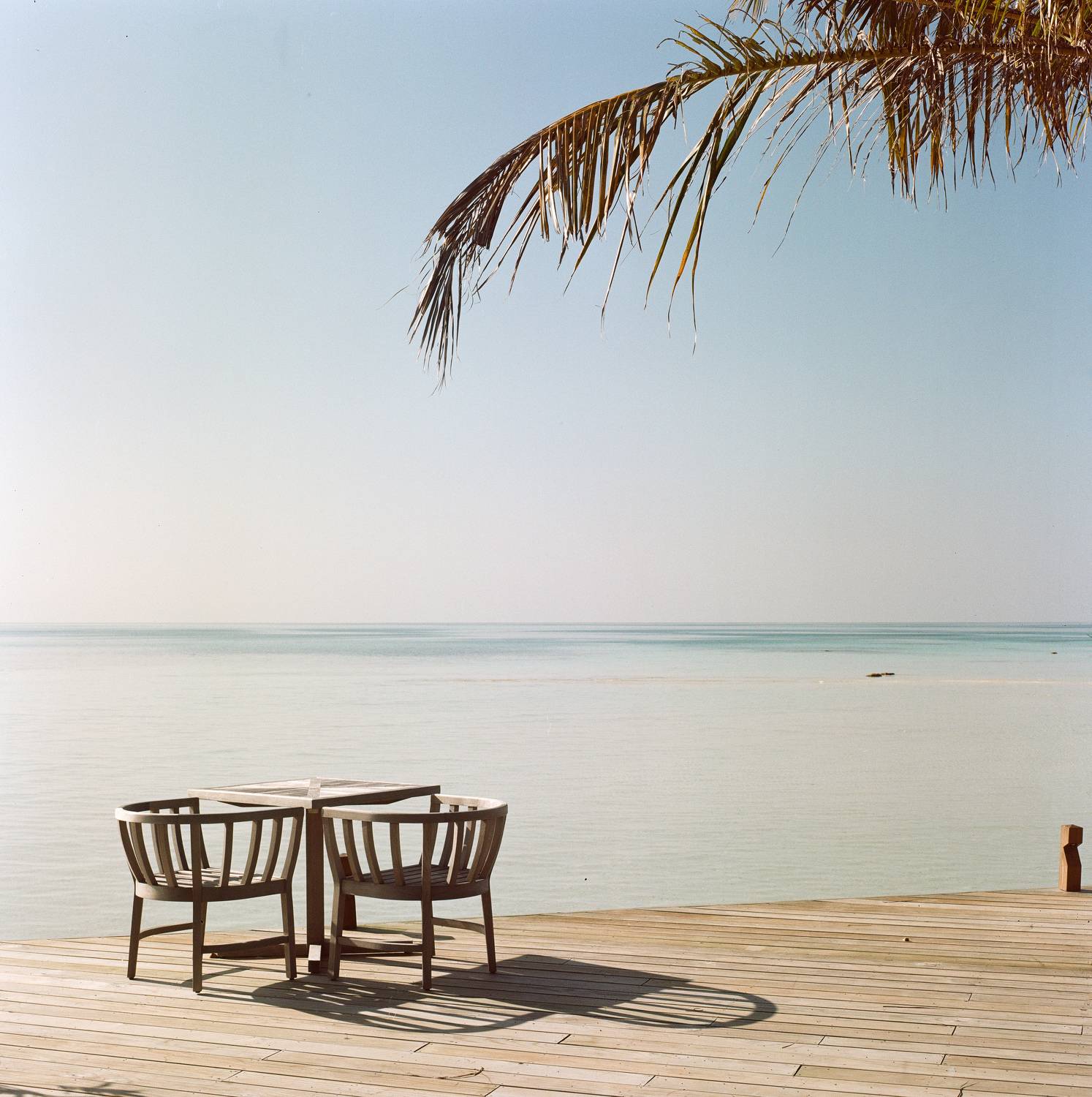 bronica sq-a, bronica, sq-a, zenzabronica, film, плёнка, medium format, m-format, middle, 120 film, 6x6, 120mm, средний формат, Kodak, Portra, Portra 160, Kodak Portra, Kodak Portra 160, Попов Алексей