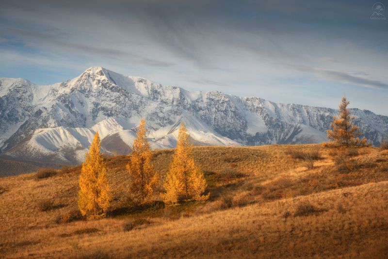 алтай, фототур по алтаю, осень, горы, горный алтай, республика алтай, курай Рыжая осень фото превью