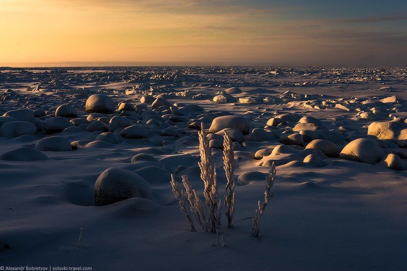 Белое, Зима, Море, Остров, Север, Соловки *** фото превью