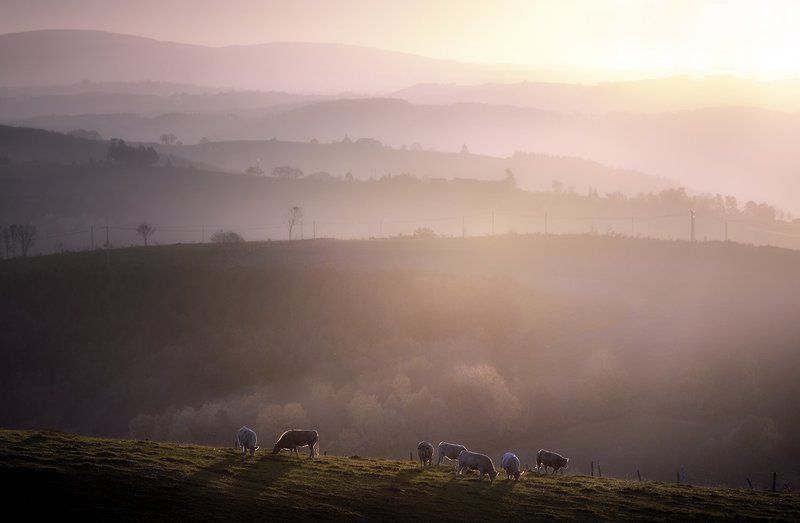 Early on a Sunday morning фото превью